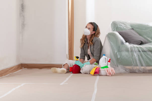 Reliable Crawl Space Mold Removal contractor in Mountville, PA by WQB Mold Removal